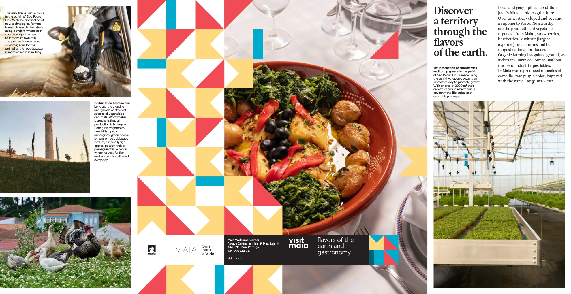 Flavors of the Land and Gastronomy Flyer